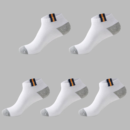 Low tube boxed men's socks