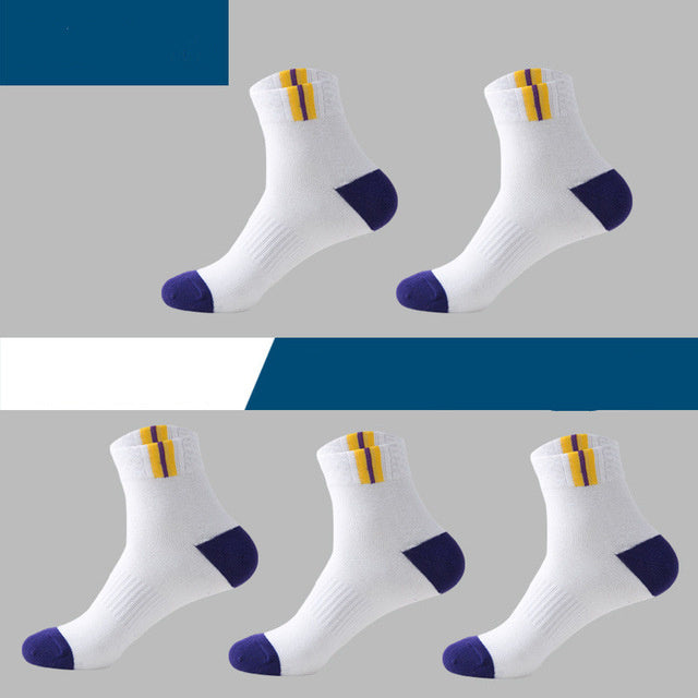 Low tube boxed men's socks