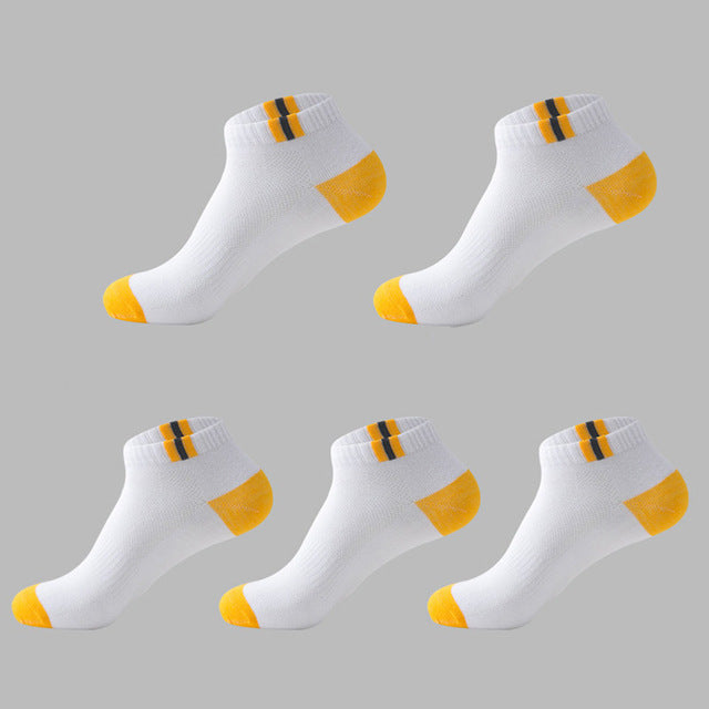 Low tube boxed men's socks